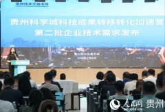 <b>有序提出成因、表示取处置方</b>